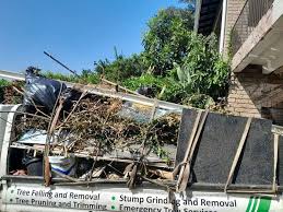 Best Dumpster Rental Services  in West Lawn, PA